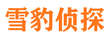 星子寻人公司